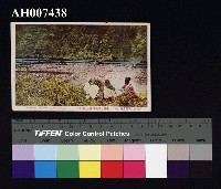 藏品(原住民風俗明信片：新式農耕)的圖片